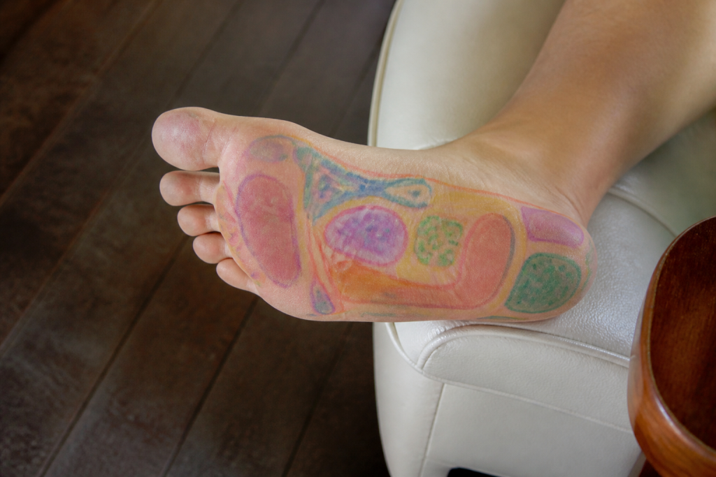Pied humain avec zones colorees marquant organes internes