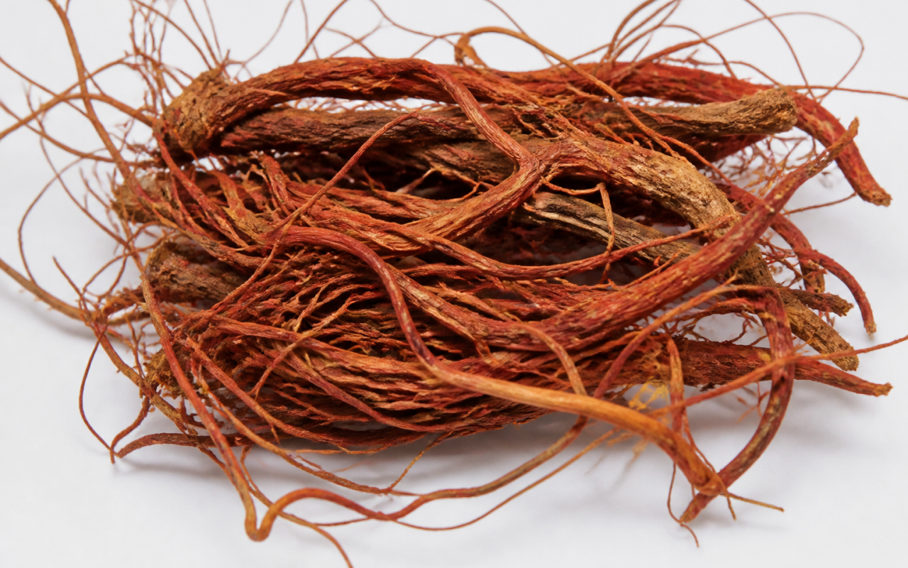 Racines rouges de ginseng séchées sur fond blanc.