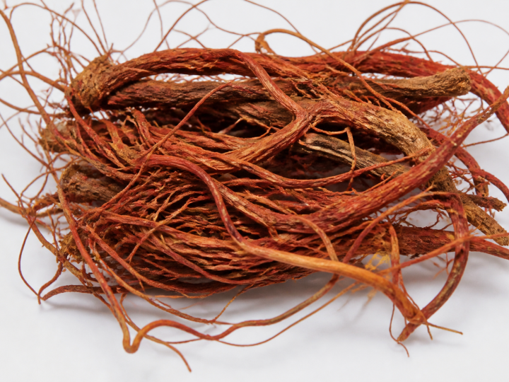 Racines rouges de ginseng séchées sur fond blanc.