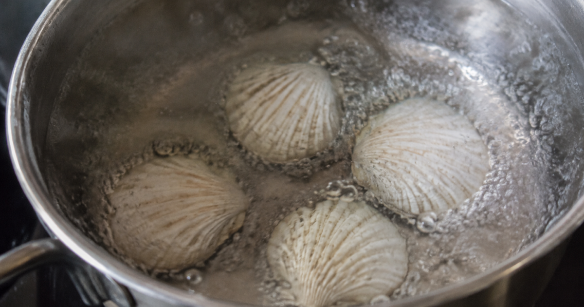 Casserole d'eau bouillante contenant quatre coquilles blanches au fond