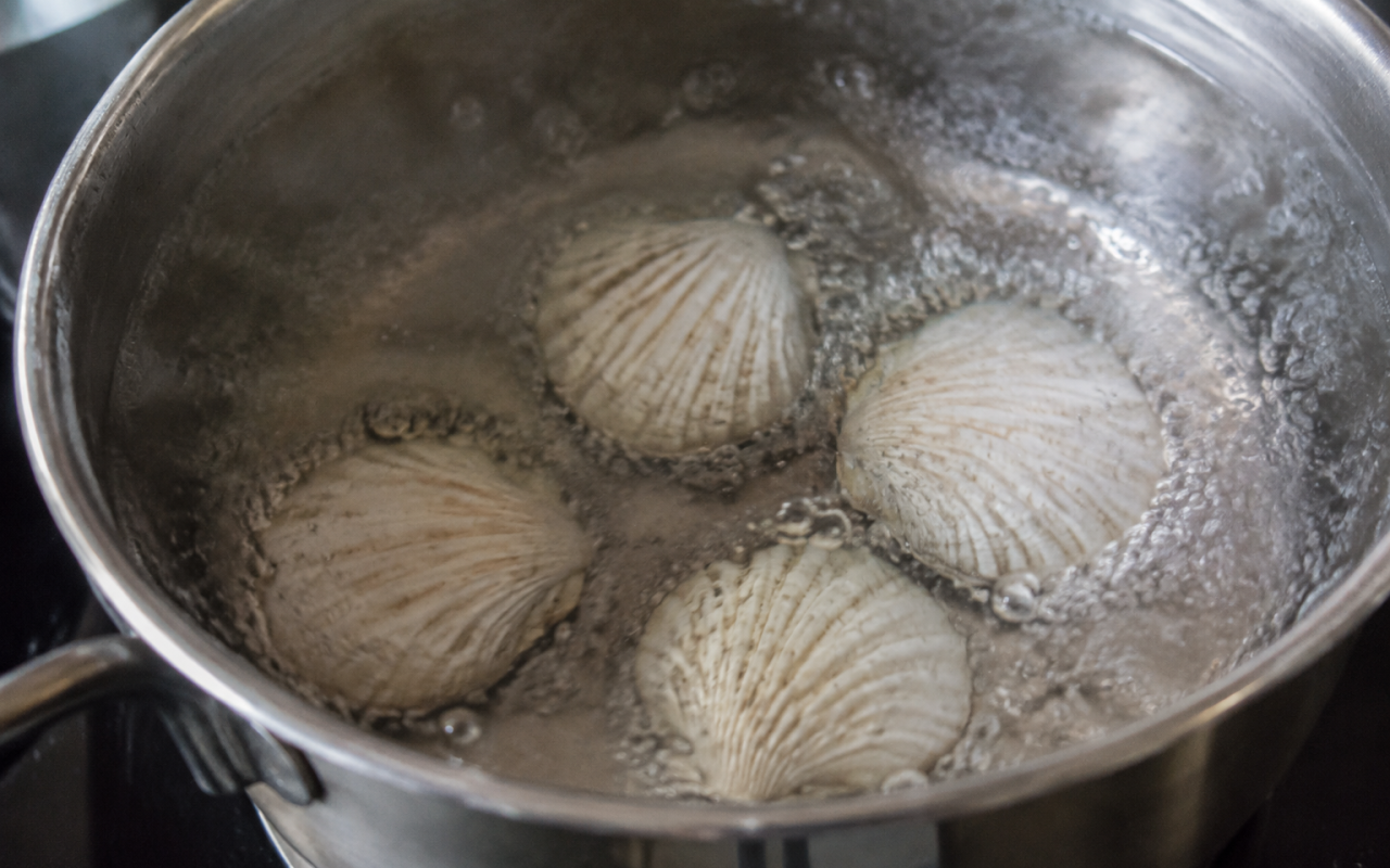 Casserole d'eau bouillante contenant quatre coquilles blanches au fond