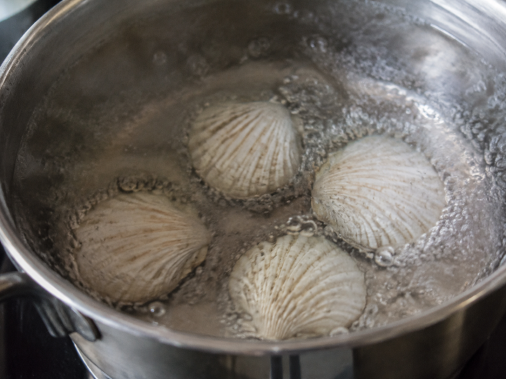 Casserole d'eau bouillante contenant quatre coquilles blanches au fond